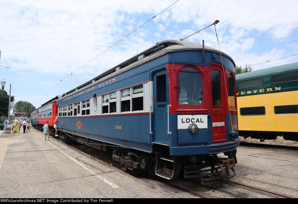 CA&E Wood Cars